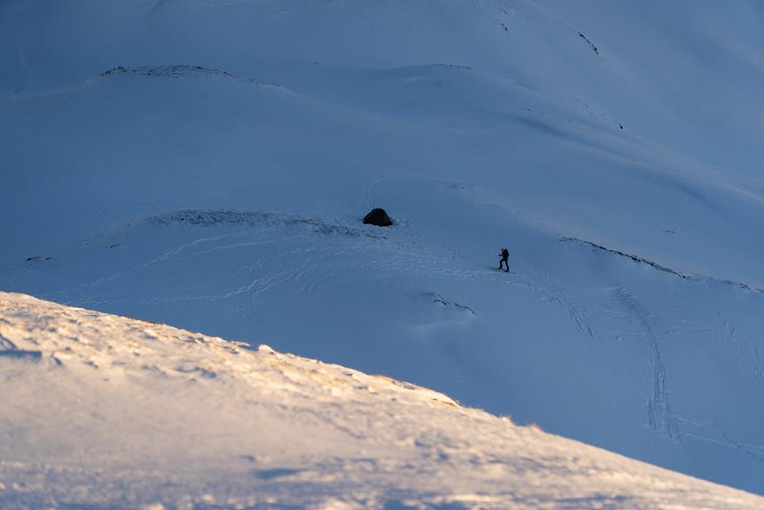 stopping techniques for skiing