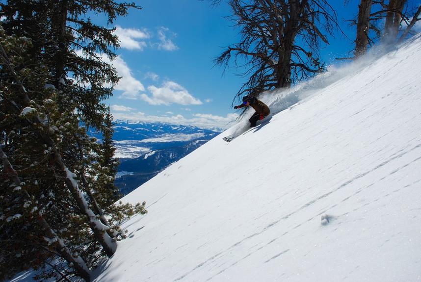 skiing cross country vs downhill